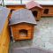 Будка для маленького собаки не утеплена класична SvitDereva