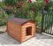 Будка для великого собаки не утеплена класична